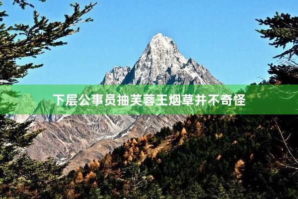 下层公事员抽芙蓉王烟草并不奇怪